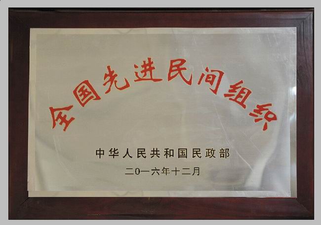 全国先进民间组织