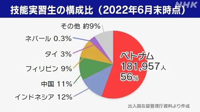 技能实习